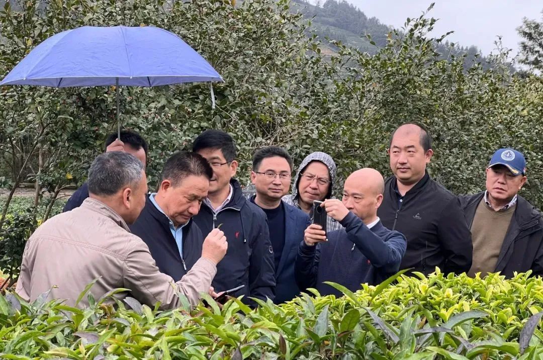 1646790632371.jpg 微信图片_20220309094932.jpg