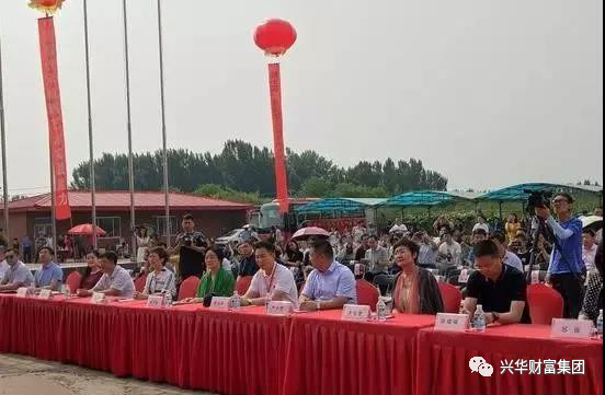 1561682539537.jpg 3.jpg